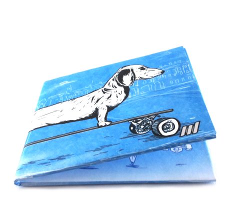 New Long Tyvek® Slim Wallet