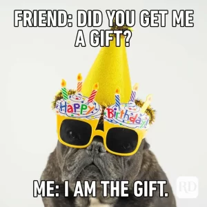 Dog with a birthday party hat and glasses. Caption: Friend: Did you get me a gift? Me: I am the gift.